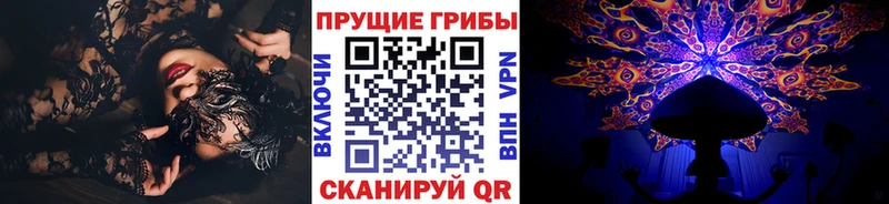 Галлюциногенные грибы Psilocybine cubensis  купить наркотик  Устюжна 